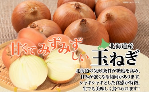 【 ふるさと納税 】 秋野菜 詰合せ かぼちゃ じゃがいも 玉ねぎ その他旬の野菜 計 約9kg 空知良品計画 南瓜 カボチャ 採れたて じゃが芋 ジャガイモ たまねぎ タマネギ 玉葱 セット まとめ買い おすそ分け2024年 10月中旬～順次出荷 北海道 【 滝川市 】