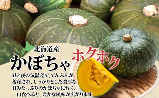 【 ふるさと納税 】 秋野菜 詰合せ かぼちゃ じゃがいも 玉ねぎ その他旬の野菜 計 約9kg 空知良品計画 南瓜 カボチャ 採れたて じゃが芋 ジャガイモ たまねぎ タマネギ 玉葱 セット まとめ買い おすそ分け2024年 10月中旬～順次出荷 北海道 【 滝川市 】