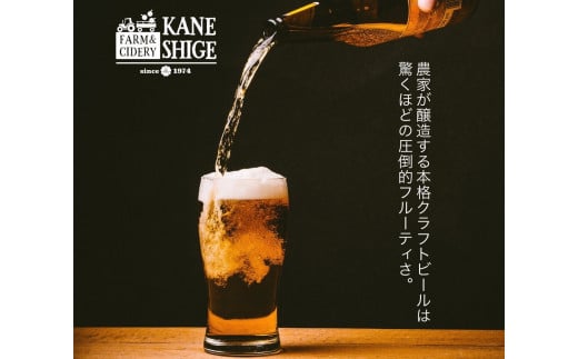 超絶フルーティなクラフトビールアソート 330ml×3本セット　