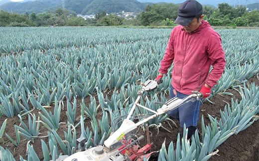 日本野菜ソムリエ協会 野菜ソムリエサミット 加工品部門 銀賞受賞 群馬県下仁田町 自家栽培の下仁田ネギ100％使用！下仁田生ねぎ味噌 120g×2瓶 F21K-108