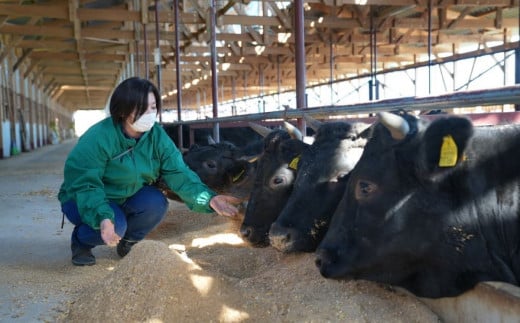 酒かす、ビール粕、ウィスキーモルト、トウモロコシや麦を酵母発酵した飼料を食べて育った黒毛和牛です。