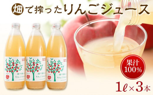 りんご ジュース 3本 × 各1000ml 大町産 箱入り