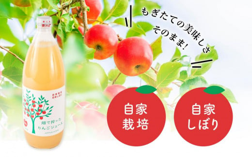 りんご ジュース 3本 × 各1000ml 大町産 箱入り