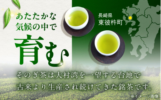 【全12回定期便】そのぎ茶 290ml×48本 長崎県/長崎県農協直販 [42ZZAA198]缶 ドリンク 飲料 茶 お茶 おちゃ 飲み物 長崎県産	緑茶 彼杵 長崎