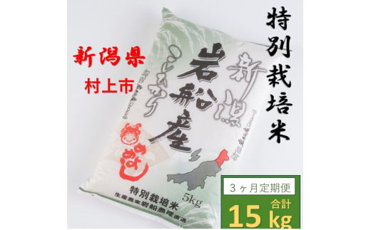 【令和6年産米】【3ヶ月定期便】特別栽培米  岩船米 コシヒカリ 15kg (5㎏×3ヶ月コース）