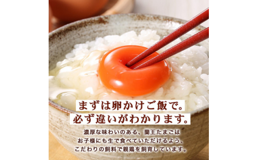  蘭王 10個入り 12パック セット _ 120個 卵 たまご 玉子 タマゴ 鶏卵 まとめ買い オムレツ 卵かけご飯 朝食 料理 人気 美味しい 【1332613】