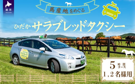 牧場や馬関連の施設を巡るオーダーメイドのタクシー観光プログラムです。