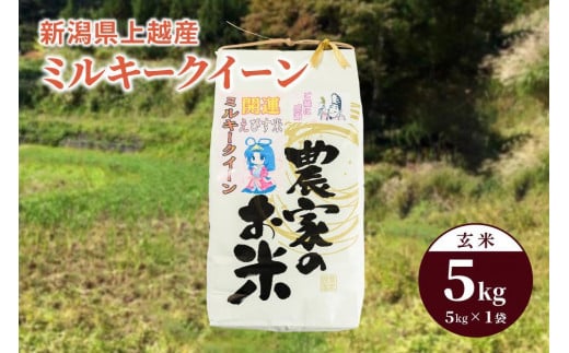 米 お米 令和5年産 ミルキークイーン 新潟県上越産 玄米5kg 1袋 こめ 新潟 新潟県 上越 上越産