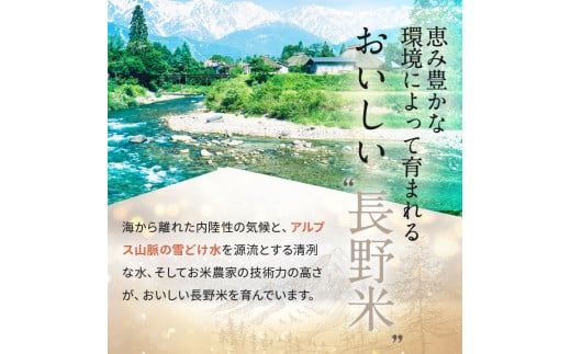 信州米 2銘柄 食べ比べ ( 無洗米 ) 10kg 長野県産 [ こしひかり ・ あきたこまち ] 各 5kg |  米 こめ 銘柄 単一米 各5kg コシヒカリ アキタコマチ 信州 食べ比べ 長野