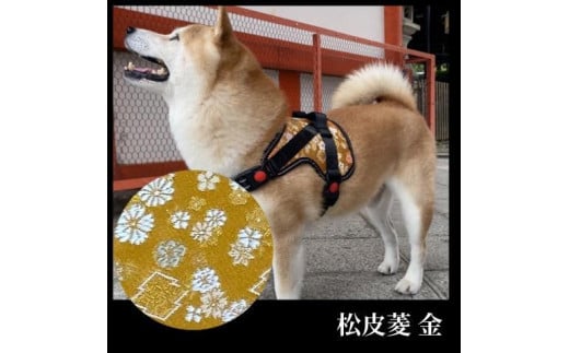 【 京都西陣金襴織 】中型犬ハーネス 華（松皮菱 金）【柴犬コウタのハッピィショップ】