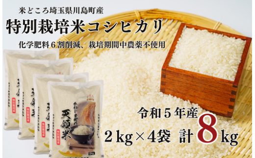 特別栽培米 コシヒカリ 白米 8kg （2kg×4袋）食味値80以上 栽培期間中農薬不使用 有機肥料 かわじま町の天領米 令和5年産 2023年産 小分け 米 コメ 安心 安全  減農薬 埼玉県認証 埼玉県 川島町