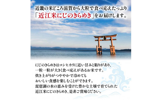 令和6年産 新米 にじのきらめき 定期便 10kg 全3回 白米 5㎏ × 2袋 3ヶ月 近江米 ニジノキラメキ 国産 お米 米 おこめ ごはん ご飯 白飯 しろめし こめ ゴハン 御飯 滋賀県産 竜王 ふるさと ランキング 人気 おすすめ