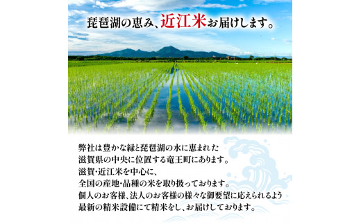 令和6年産 新米 にじのきらめき 定期便 10kg 全3回 白米 5㎏ × 2袋 3ヶ月 近江米 ニジノキラメキ 国産 お米 米 おこめ ごはん ご飯 白飯 しろめし こめ ゴハン 御飯 滋賀県産 竜王 ふるさと ランキング 人気 おすすめ