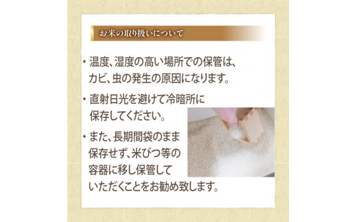 令和6年産 新米 にじのきらめき 定期便 10kg 全3回 白米 5㎏ × 2袋 3ヶ月 近江米 ニジノキラメキ 国産 お米 米 おこめ ごはん ご飯 白飯 しろめし こめ ゴハン 御飯 滋賀県産 竜王 ふるさと ランキング 人気 おすすめ