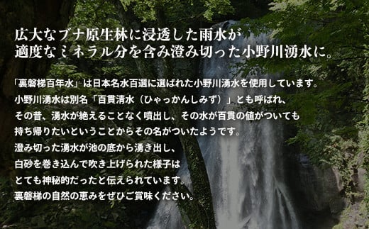 裏磐梯百年水 ナチュラルミネラルウォーター（500ml×24本 1箱） 【 ふるさと納税 人気 おすすめ ランキング ミネラルウォーター 裏磐梯百年水 日本名水百選 ペットボトル 小野川湧水 湧き水 百貫清水 自然の恵み 水 ミネラル 清水 福島県 北塩原村 送料無料 】 KBJ010