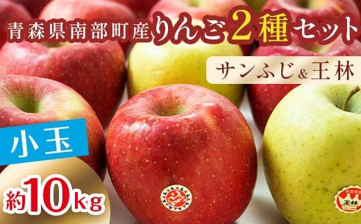 秀 （小玉） 青森産 完熟 りんご 約10kg サンふじ 王林 2種セット 【誠果園】 青森りんご リンゴ 林檎 アップル あおもり 青森 青森県 南部町 三戸 南部 澁川賞受賞 果物 くだもの フルーツ F21U-225