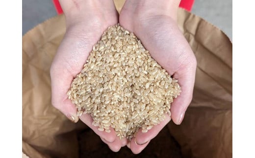 微生物自然栽培　米　ヒノヒカリ　10㎏　令和5年産 自然栽培米（有機JASヒノヒカリ） 5kg | 渡辺農産