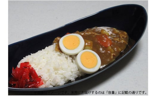 ARITA PORCELAIN LAB(アリタポーセリンラボ) 墨ルリ・ペア楕円皿(中) 有田焼 モダン パスタ皿 カレー皿 A35-217