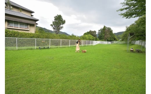 修善寺温泉 修善寺絆＋ 愛犬と一緒にお泊り 商品券 60,000円分 【静岡県 伊豆市 温泉 温泉宿 宿泊券 宿泊 旅行 旅行クーポン 商品券 補助券 ペット ホテル お泊り ペット  愛犬 犬 いぬ イヌ 家族 ファミリー 友達 友人 カップル 夫婦 宿泊券 補助券 チケット 利用券 贅沢 旅行 家族旅行  卒業旅行 記念旅行 記念日 お祝い 誕生日 卒業 結婚 還暦 ご褒美 】20-011