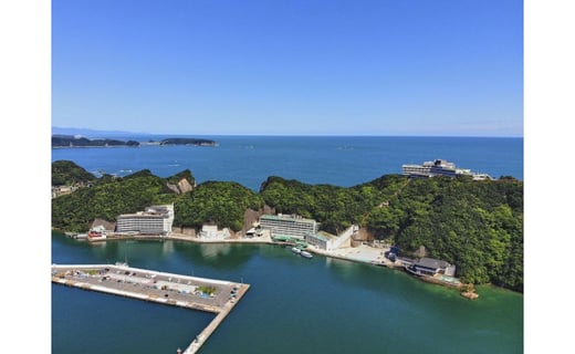 ホテル浦島　日昇館ペア宿泊券