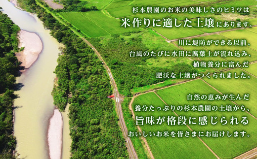 【新米発送・定期便3回】ふっくりんこ 玄米 5kg 《杉本農園》