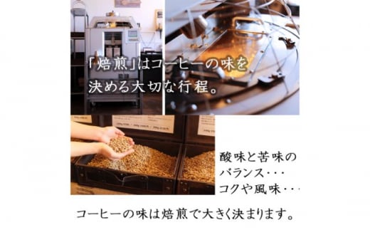 味が選べるスペシャルティコーヒー（浅煎り～深煎り7段階/インドネシア400g）【豆】2番ミディアム the beans thebeans ザビーンズ