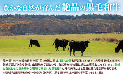 牛肉 黒毛和牛 切り落とし 2kg 《30日以内に出荷予定(土日祝除く)》 岡山県 矢掛町 牛 牛肉 和牛 牛丼 カレー 小分け 小分けパック 250g 送料無料