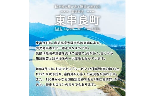 【0034601a】＜返礼品なし＞鹿児島県本土でいちばん小さな町「東串良町」への寄附(1口：3,000円)