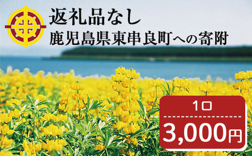 【0034601a】＜返礼品なし＞鹿児島県本土でいちばん小さな町「東串良町」への寄附(1口：3,000円)