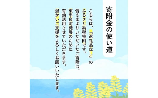 【0034601a】＜返礼品なし＞鹿児島県本土でいちばん小さな町「東串良町」への寄附(1口：3,000円)