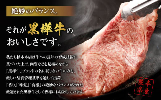 くまもと黒毛和牛 杉本本店 黒樺牛 A4~A5等級 焼肉用カルビ 250g×2 計500g