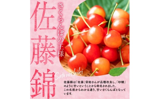 2025年発送【先行予約】令和7年産 佐藤錦【L～2Lバラ詰め】500g×2 【ニトリ観光果樹園】さくらんぼの王様 余市 北海道 フルーツ王国 さくらんぼ サクランボ 桜桃 佐藤錦 余市産さくらんぼ 人気さくらんぼ ニトリ