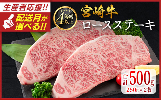 ＜配送月が選べる!!＞数量限定 宮崎牛 ロースステーキ 計500g（250g×2枚） 肉質等級4等級 国産 人気 おすすめ 2025年2月お届け【C346-S-2502】