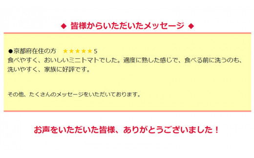 ミニトマト（マドンナ）約1kg ミニトマト マドンナ とまと リコピン トマト 野菜