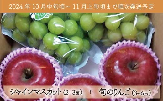 [No.5657-3943]【品種おまかせ！】フルーツの玉手箱B 食べ比べ 約3.5kg《ナカジマ農園》 ■2024年発送■※10月中旬頃～11月上旬頃まで順次発送予定　