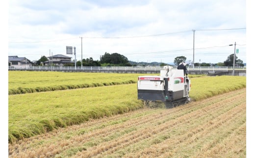 令和6年産 茨城県 常陸太田産 コシヒカリ5kg 特別栽培米 みずほちゃん　【常陸太田市 茨城県 良質米 森林 ミネラル 豊富 清らか 水 人気 】