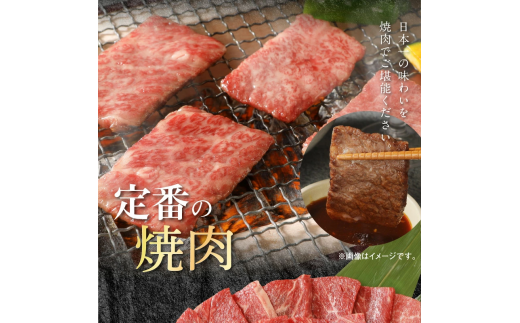 ウデ焼肉用400g和牛小間切れ100g計500g N0147-YA3322