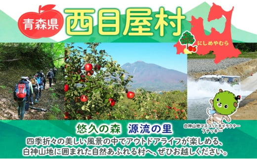 【12月発送】 贈答用 サンふじ 約3kg りんご 林檎 リンゴ 果物 フルーツ くだもの 旬 青森県産 お取り寄せ 贈り物 プレゼント 人気 東北 名産 常温 産地直送 送料無料 青森県 西目屋村