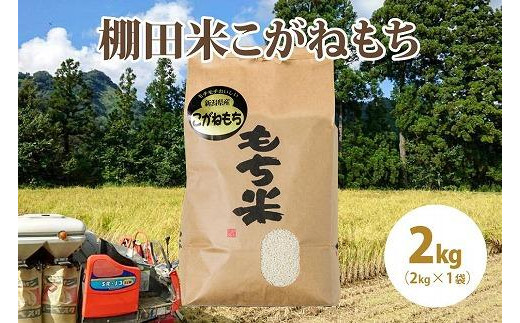 極少量米:数量限定令和5年産精米/新潟県上越市大島区産棚田米こがねもち 2kg(2kg×1)もち米 もち 米 こめ