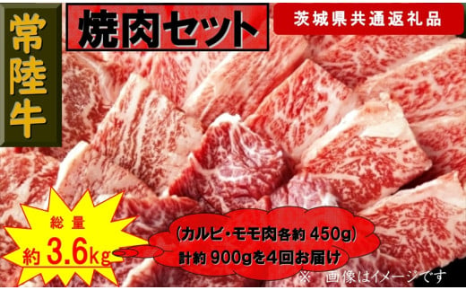 【4か月定期便】【常陸牛】焼肉セット 約900g【定期便】計4回 総量約3,600g（茨城県共通返礼品）【 常陸牛 茨城県 日立市 】