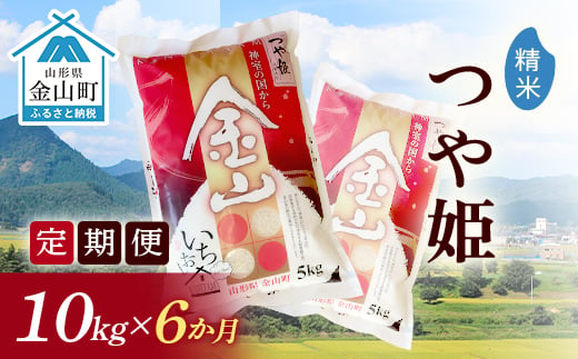 令和6年産《定期便》金山産米 つや姫  【精米】10kg×6ヶ月 計60kg 6ヶ月 米 お米 白米 ご飯 精米 ブランド米 つや姫 送料無料 東北 山形 金山町 F4B-0514