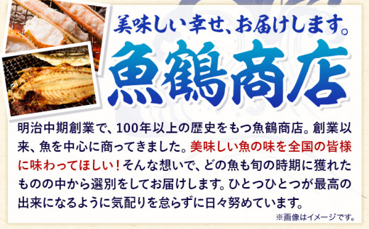 迷ったらコレ!魚鶴商店の天然紅サケ1kg &塩さばフィレ6枚セット 株式会社魚鶴商店《30日以内に出荷予定(土日祝除く)》 和歌山県 日高町 さば 鯖 鮭 サケ さけ しゃけ