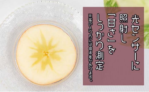 1月  特A 蜜入りサンふじ 約5kg　糖度13度以上 【青森りんご・マルコウアップル】