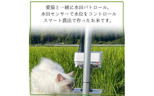 漢方米 白米 10kg こしひかり 漢方未来農法 漢方 【農薬/除草剤/化学肥料不使用】