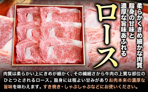 熊野牛 すき焼き しゃぶしゃぶ ローススライス 500g 粉山椒付き 澤株式会社(Meat Factory)《90日以内に出荷予定(土日祝除く)》和歌山県 日高町 送料無料 牛肉 肉 ロース スライス