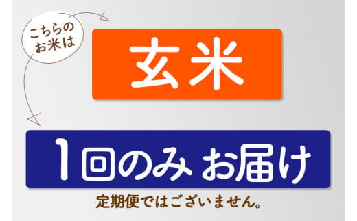 【令和6年産新米】〈玄米〉 雪若丸 10kg ＜1回のお届け＞