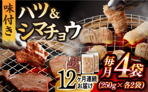 国産 牛肉 ホルモン シマチョウ 小分け 味付き 冷凍 焼肉 焼き肉 和牛 塩 しお 牛 定期便 ていきびん 定期 チョウ