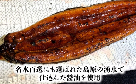 とらふぐ刺身･うなぎの蒲焼き満喫セット（ふぐ刺1皿・蒲焼き1尾） 長崎県/ダイニング味遊 [42ACAG066]