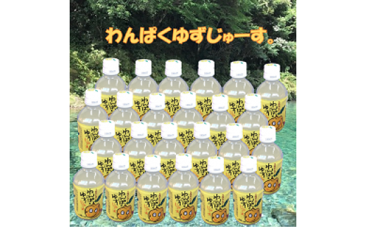 ttm19わんぱくゆずジュース（280ml×24本）