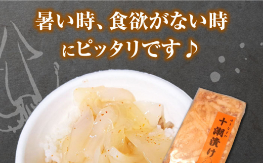 ゆうなぎ の 十潮(としお)漬け《対馬市》【ゆうなぎ対馬】イカ おかず 簡単 惣菜 ご飯に合う 時短調理 冷凍 [WAG023]九州 長崎 対馬 冷凍 ご飯が進む イカ 剣先いか もう1品 ご飯 おかず 漬物